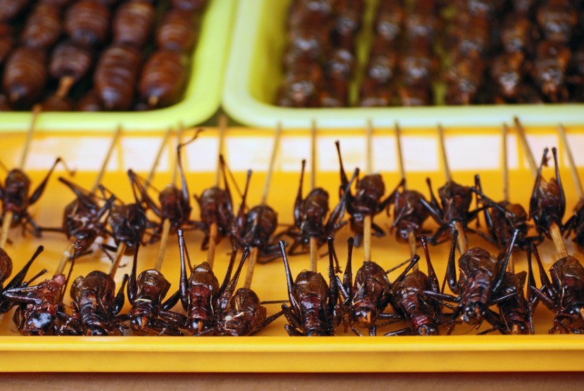 Sisi Kuliner yang Menarik: Serangga yang Bisa Dikonsumsi